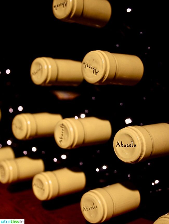 Wine tasting at Abacela Winery in Roseburg, Oregon wine country, on UrbanBlissLife.com