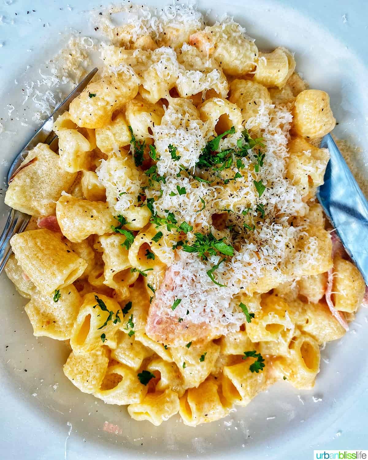 rigatoni at Allora restaurant