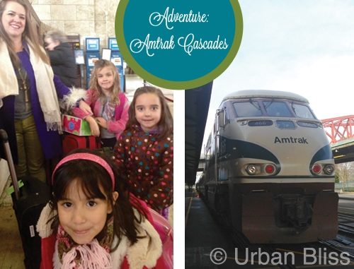 Travel Adventures: Amtrak Cascades Portland to Seattle