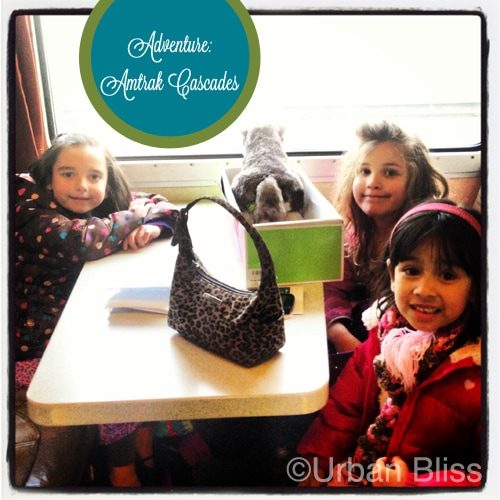 Travel Adventure: Amtrak Cascades Portland to Seattle