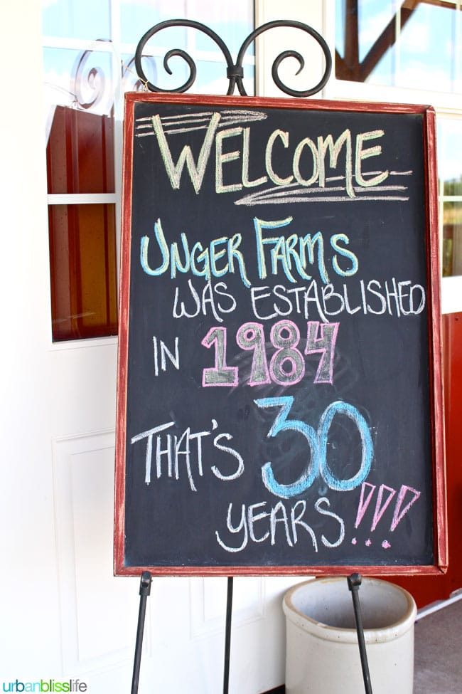 Celebrate Oregon Berries, Part 2 of 3: Field Trip to Unger Farms for a weeknight