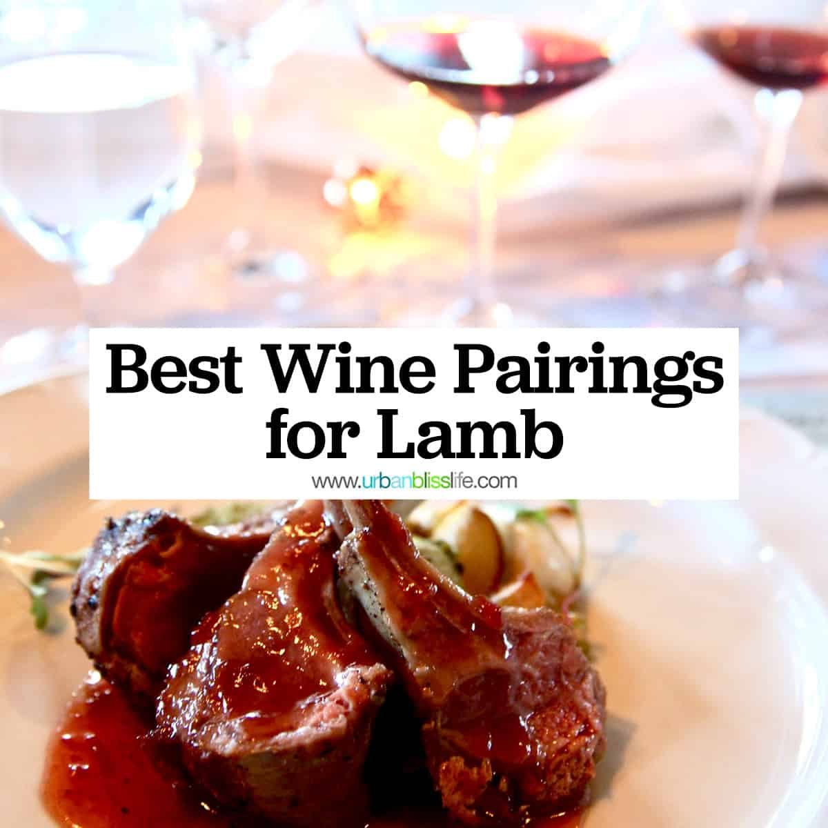 lamb chops on a plate with two glasses of red with with title text that reads "Best Wine Pairings for Lamb."