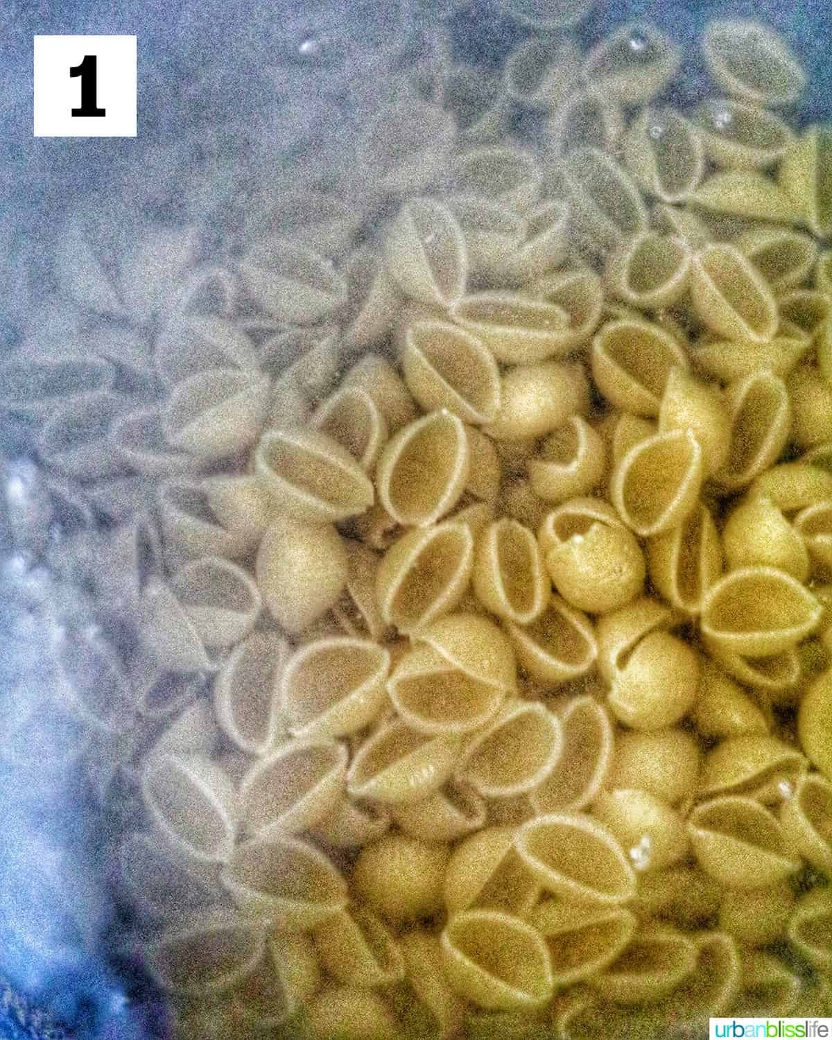 pasta shells in a pot of boiling water.