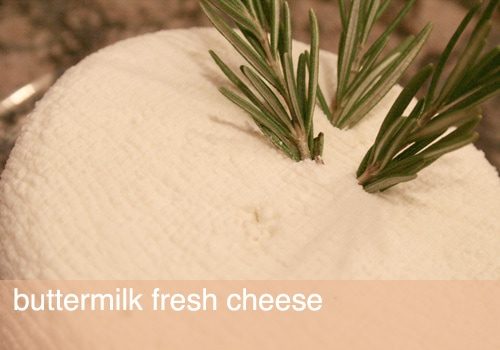 Simple From-scratch Cheese