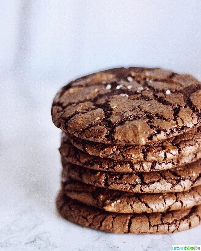 stack of Chewy Chocolate Fudge Cookies
