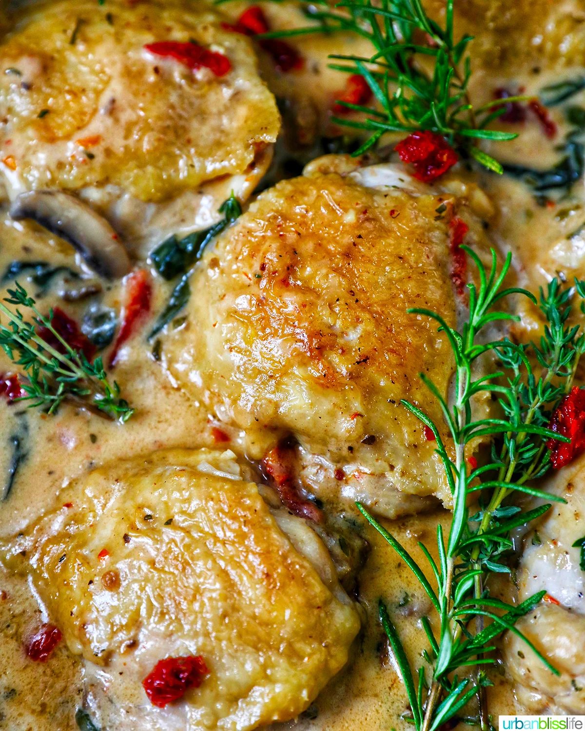 pan with dairy free marry me chicken thighs in a rich mushroom sun-dried tomato sauce.