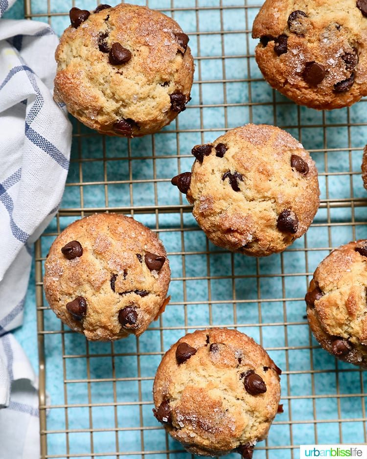 Chocolate Chip Muffins
