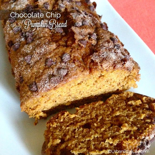 Chocolate chip pumpkin bread recipe