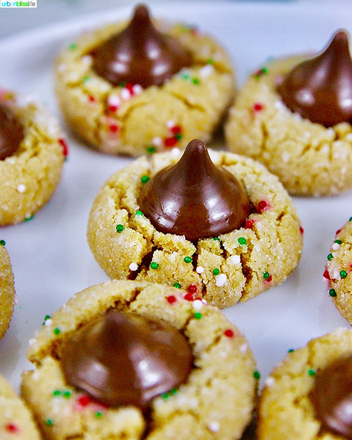 closeup of Peanut Butter Blossom Cookies