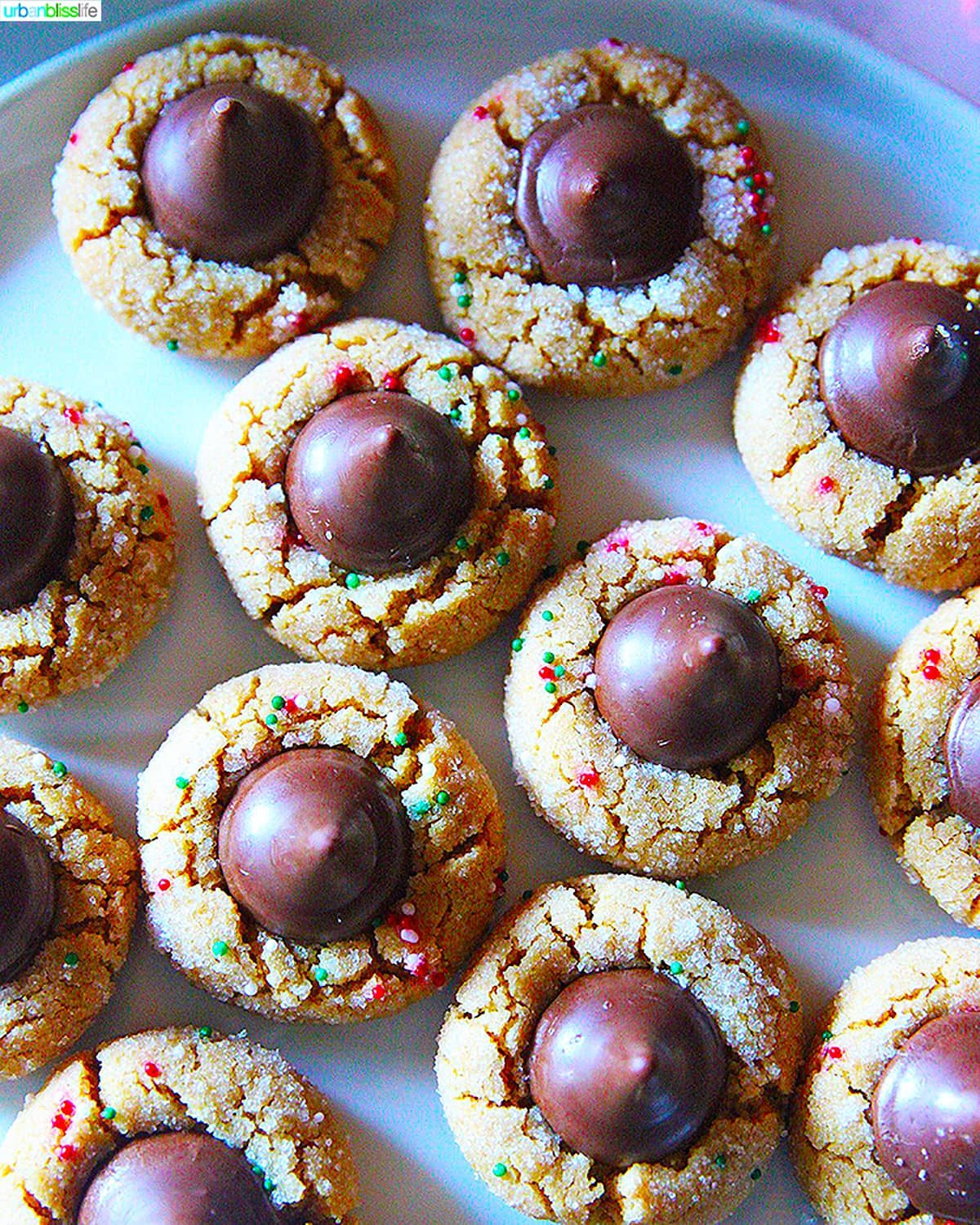 Peanut Butter Blossom Cookies flatlay