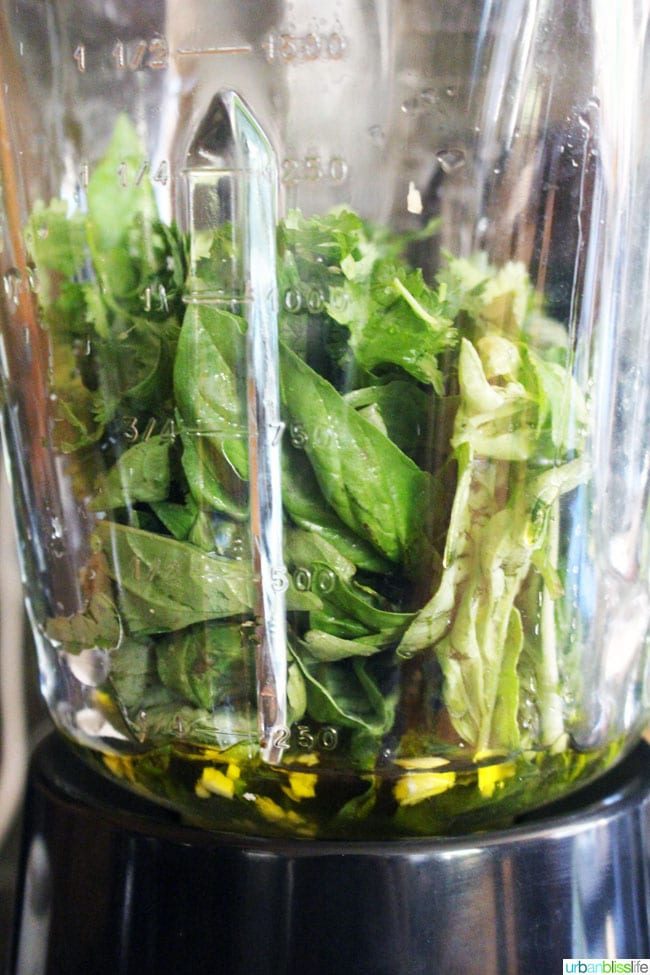 ingredients to make pesto in a blender.