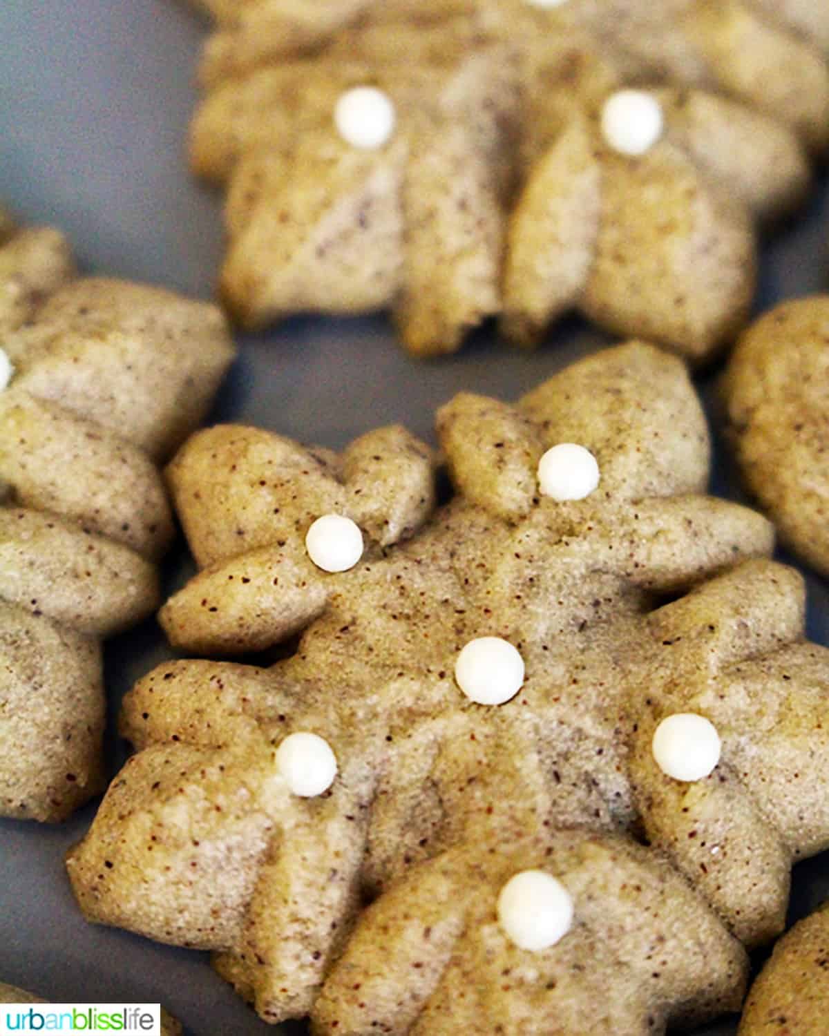closeup of Cinnamon Spritz Cookies.