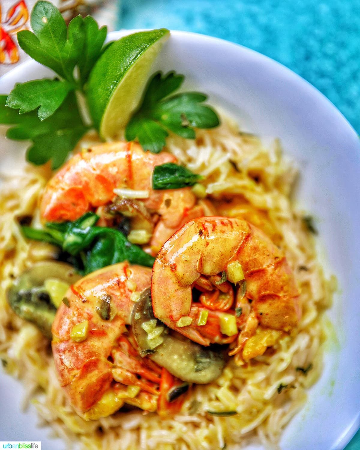 Coconut Curry Shrimp & Mushrooms