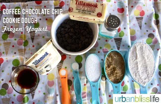 Coffee Chocolate Chip Cookie Dough Frozen Yogurt Recipe