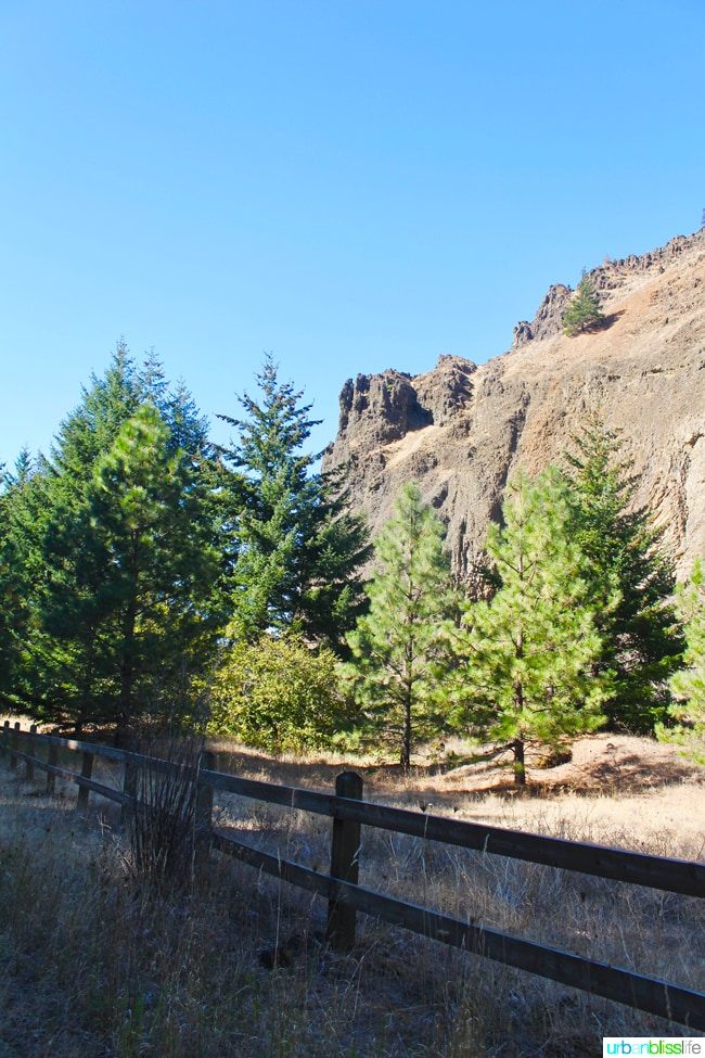 Biking the Historic Columbia River Highway, travel tips on UrbanBlissLife.com