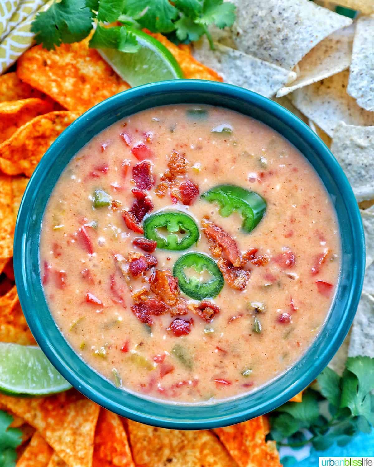 bowl of dairy free queso dip with nacho chips