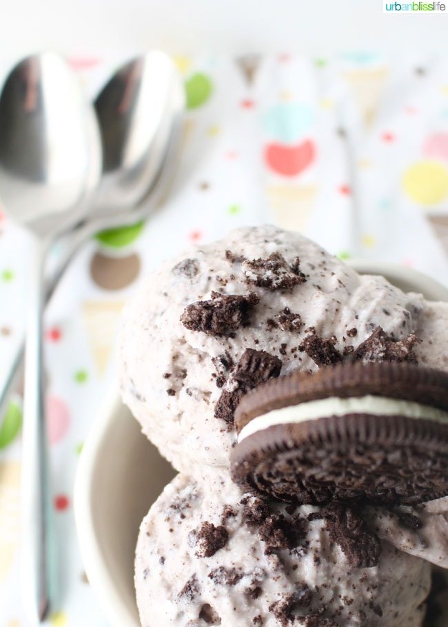 scoops of ice cream in bowl with cookie