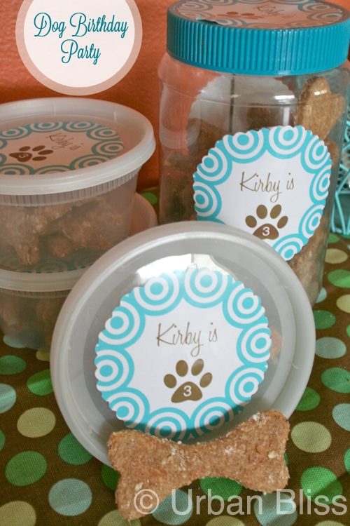 homemade dog treats in containers