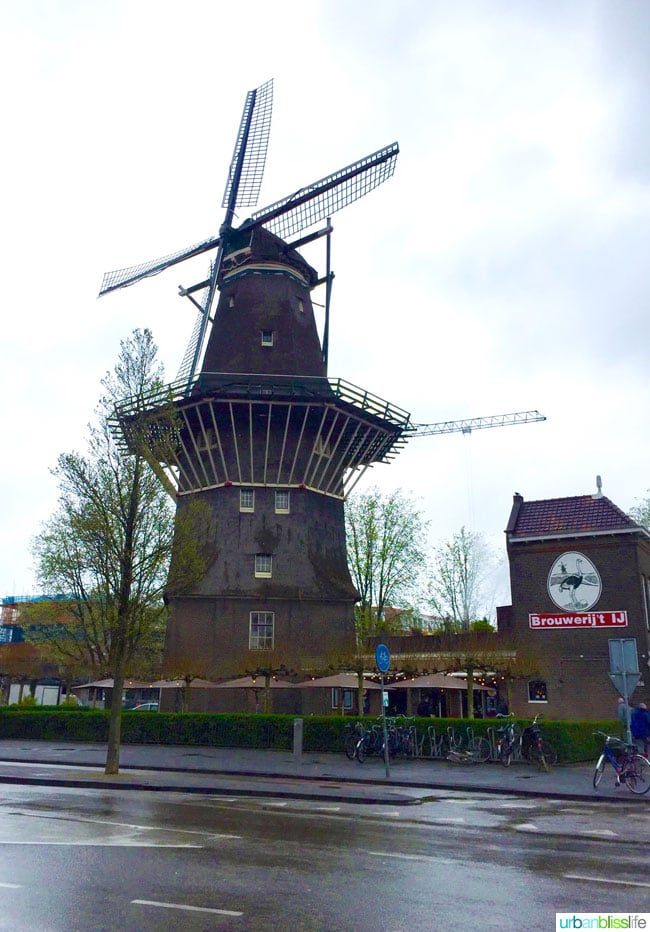 What to Eat and Drink in Amsterdam. Popular Dutch food, top restaurants, great outdoor markets. Read more on UrbanBlissLife.com