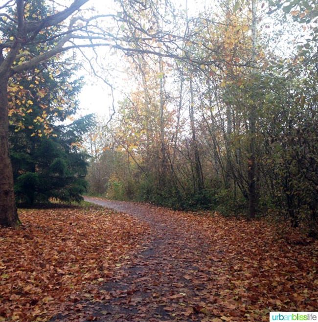 Fall Park