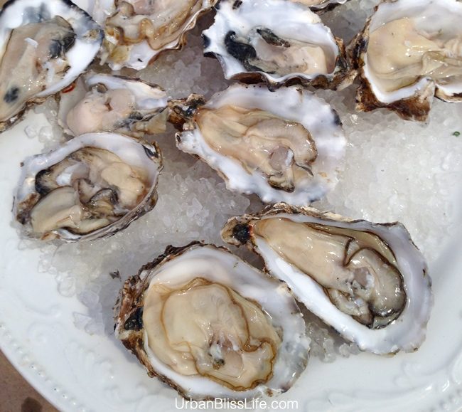 Feast Portland 2013 - Oysters
