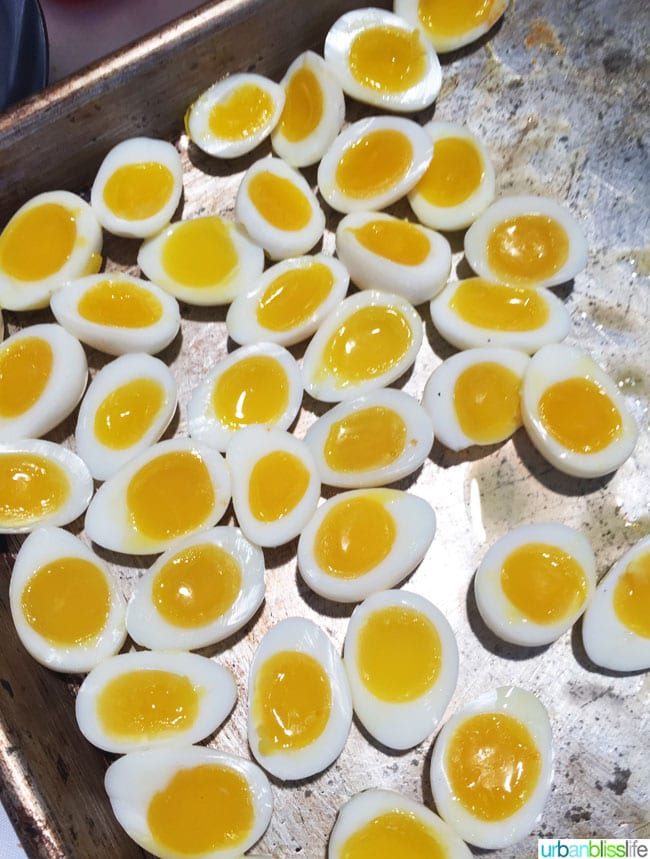 eggs in half