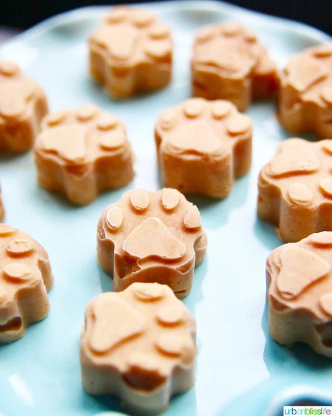 Frozen Peanut Butter Banana Dog Treats from the stove