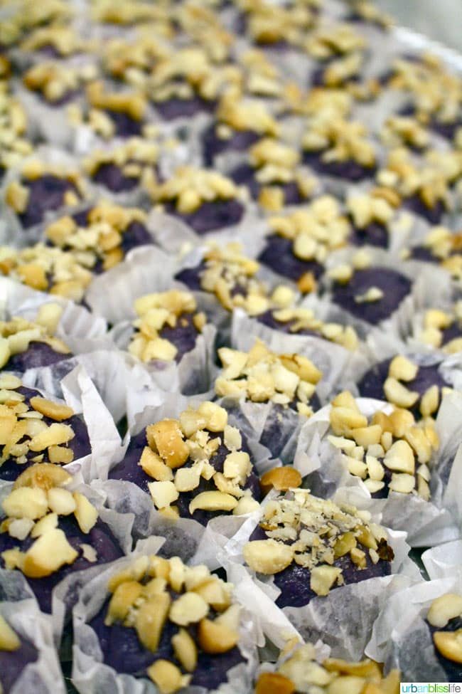 PHO - Taste of the Hawaiian Range 2014 | UrbanBlissLife.com