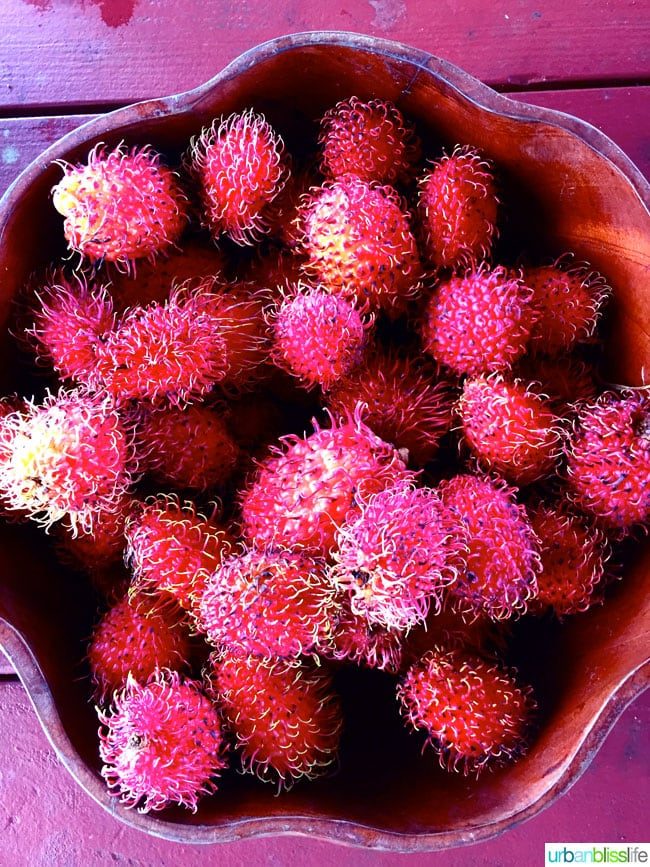 Travel Hawaii Island: Hawaiian Cuisine worth the stop