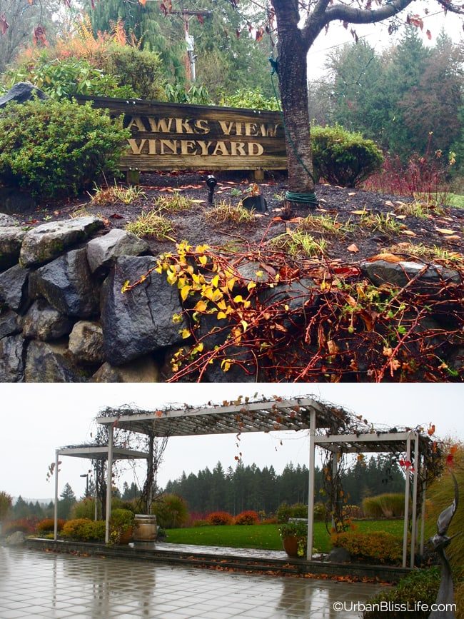 HawksViewCellars - Outdoors