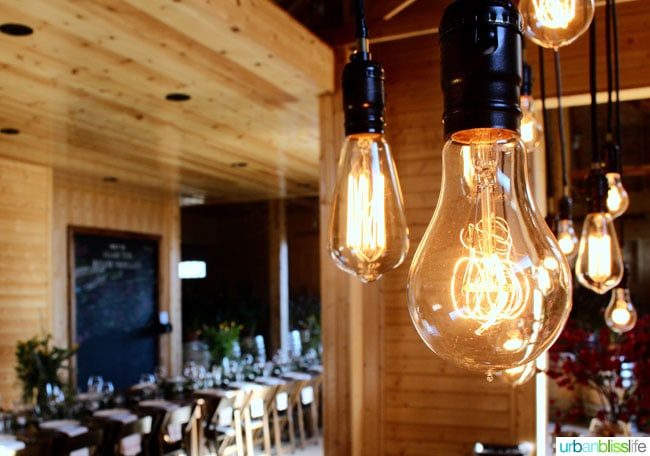 close up of vintage light bulb