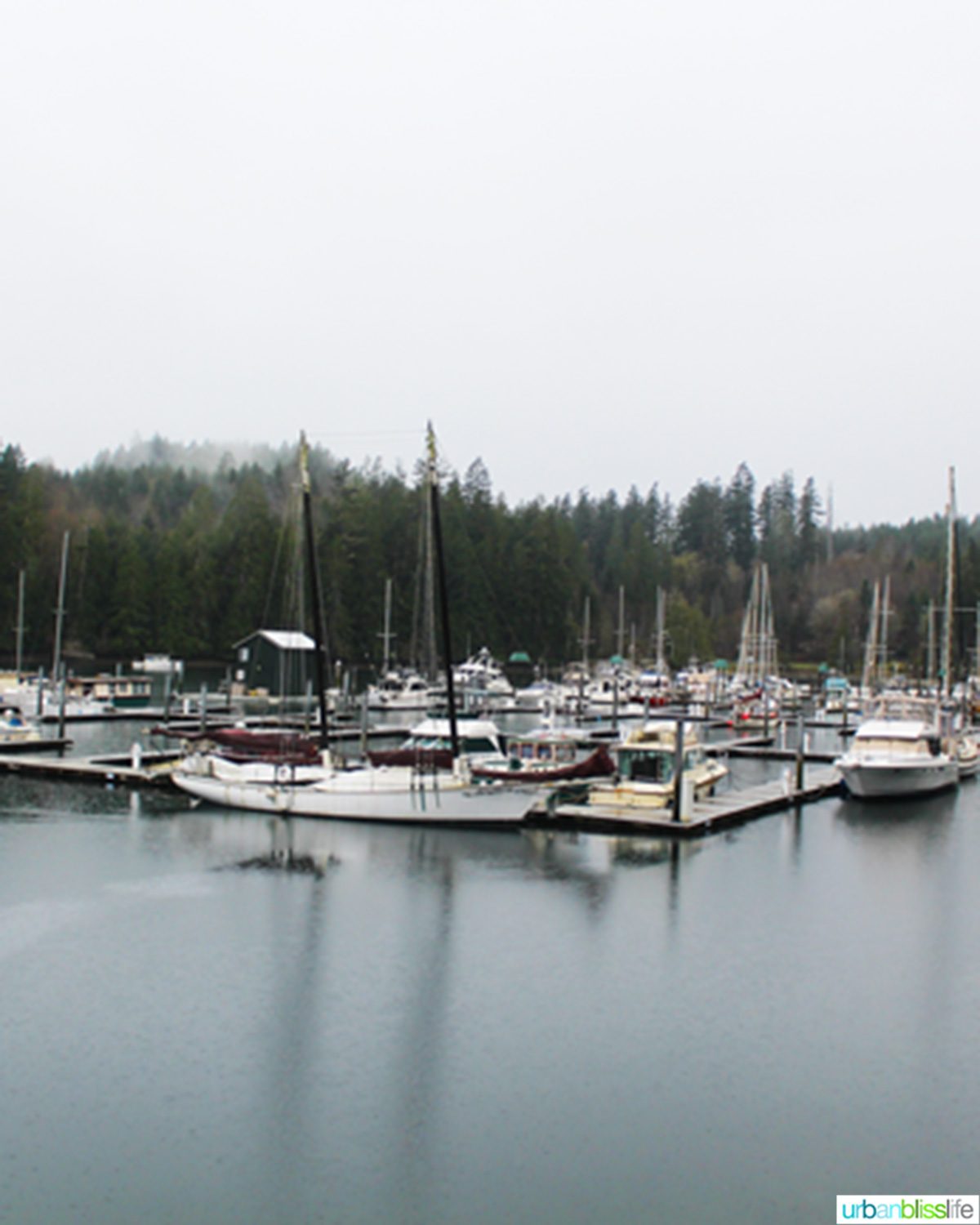 boats in hood canal in oregon