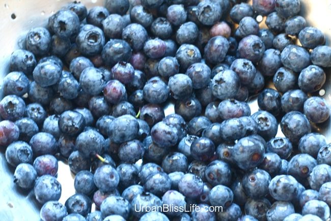 plate of blueberries