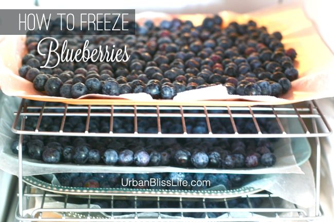 Blueberries in freezer