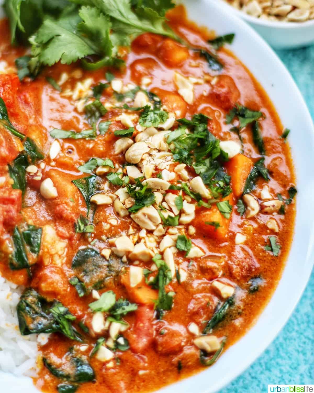 closeup of Pressure-cooker African Peanut Stew