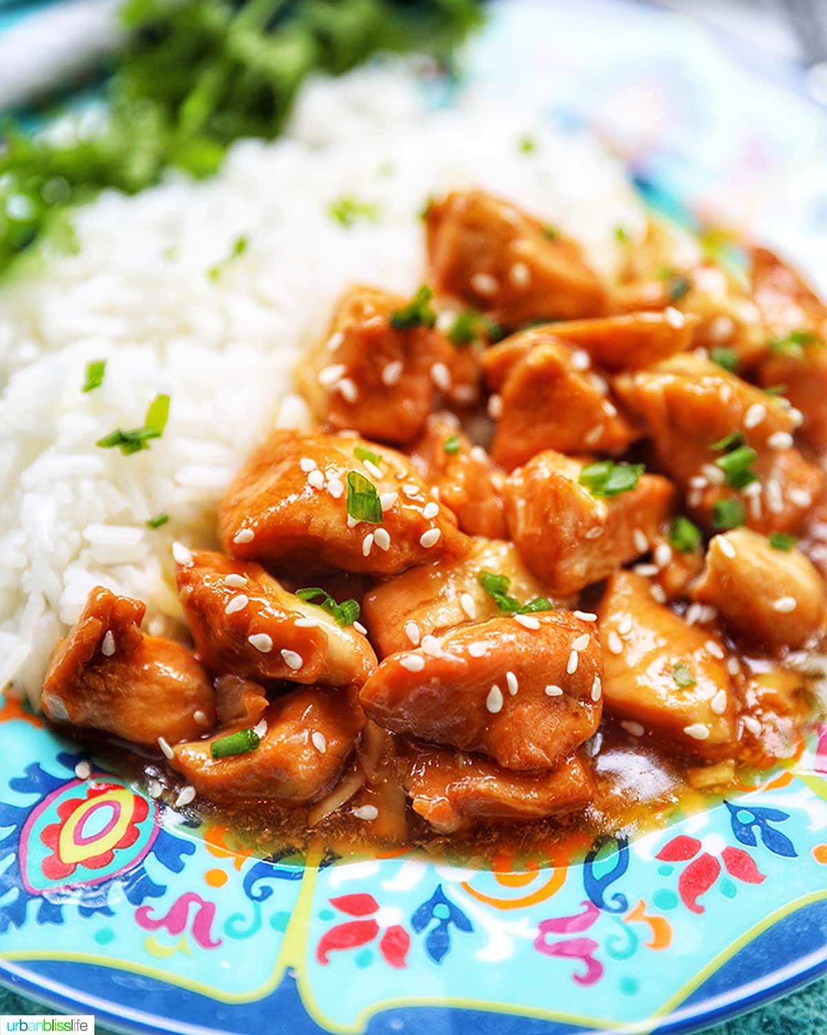 closeup plate of honey garlic chicken and rice