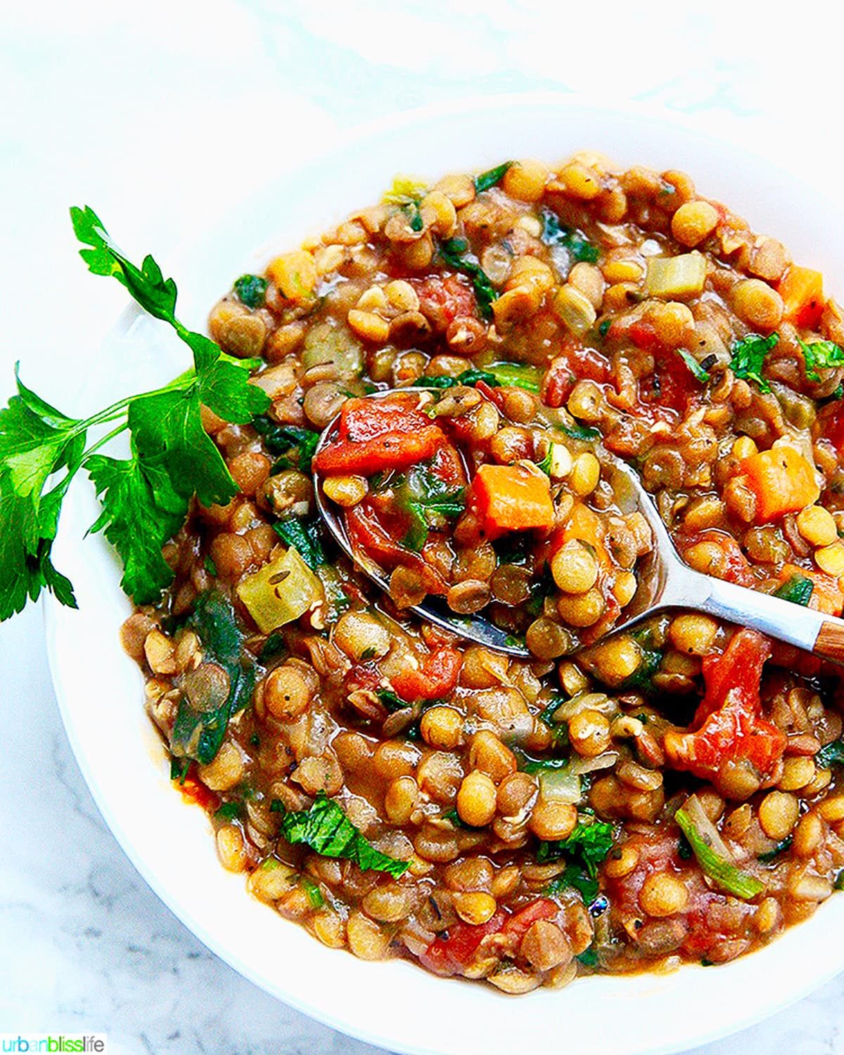one bowl of Pressure-cooker Lentil Soup