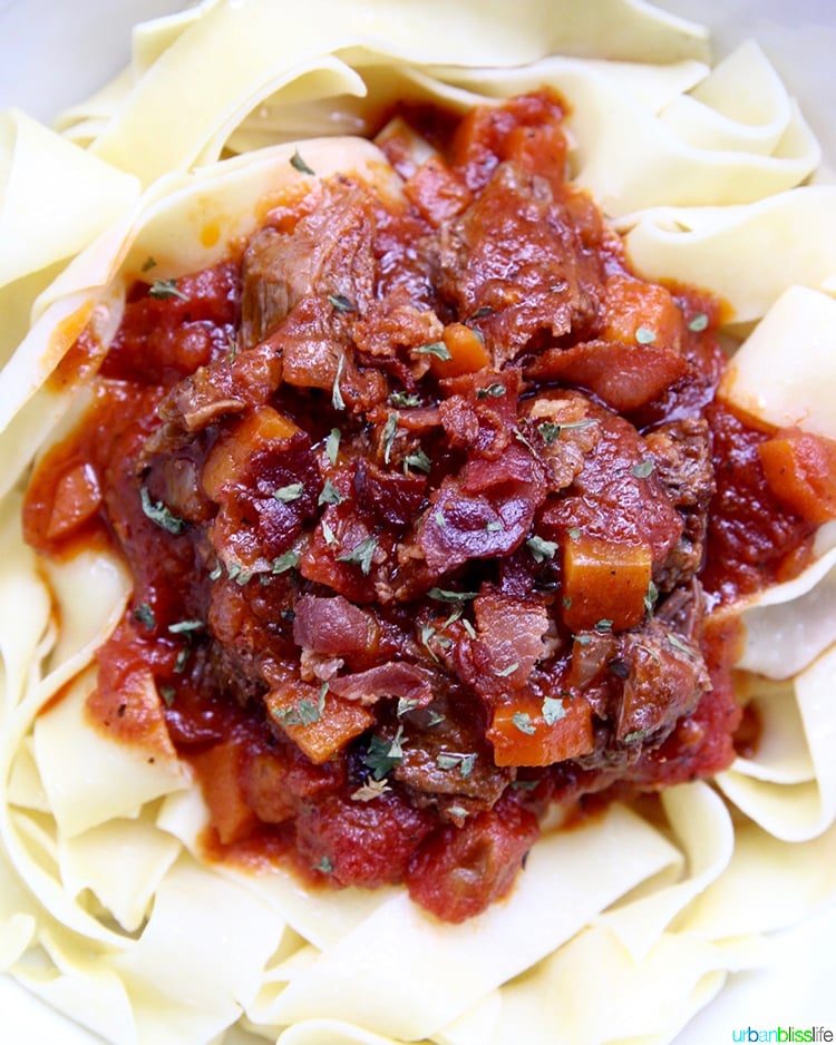 closeup of Pressure-cooker Short Ribs ragu over pasta