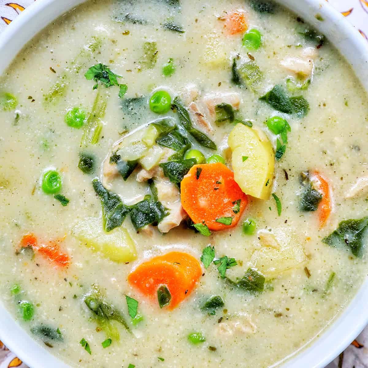 closeup of a bowl of Pressure-cooker Chicken Stew.