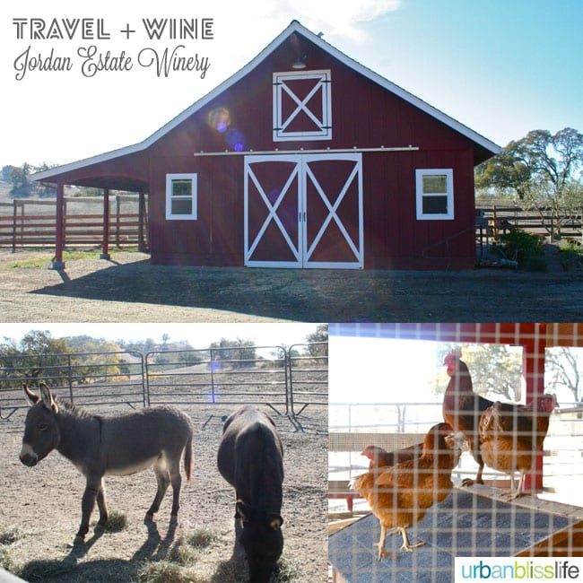 red barn, donkeys, and chickens