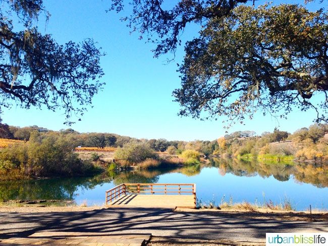 Lake at Jordan Estate Winery