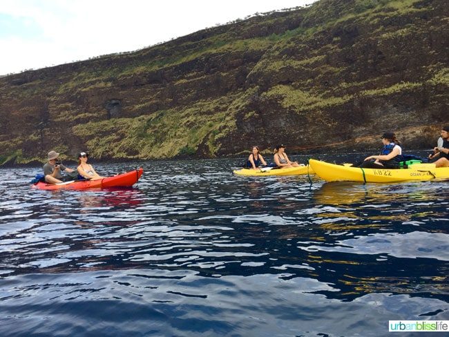Kona Hawaii Adventures on UrbanBlissLife.com