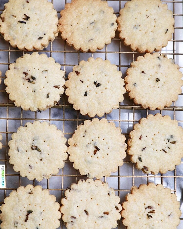 lavender shortbread cookies on a cooling rack