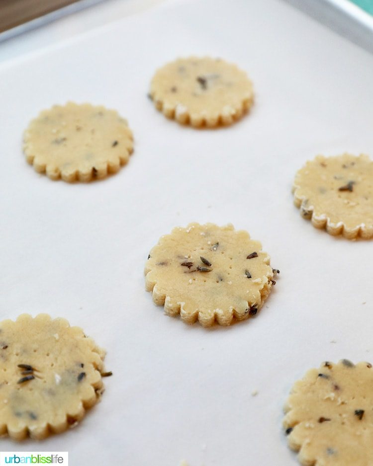 lavender shortbread cookies ready to bake