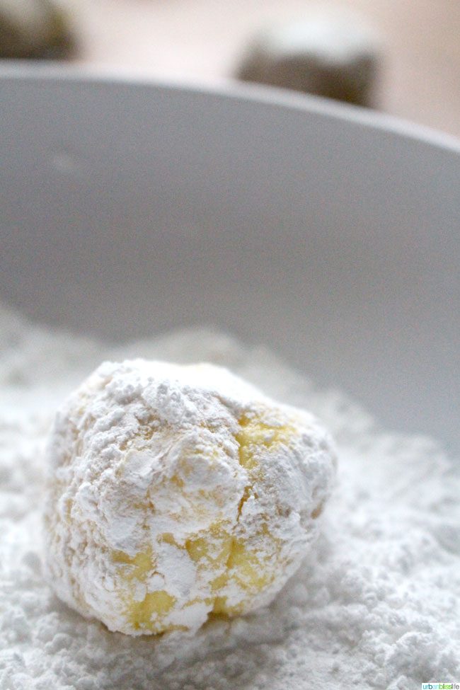 Lemon Crinkle Cookies