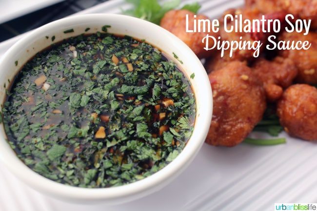 Cilantro Lime Asian Dipping Sauce