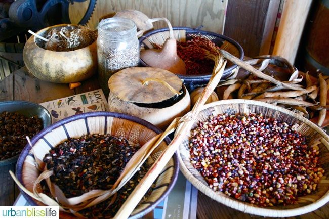 beans and baskets