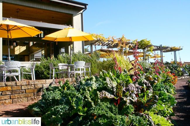 outdoor seating at Lynmar Estate