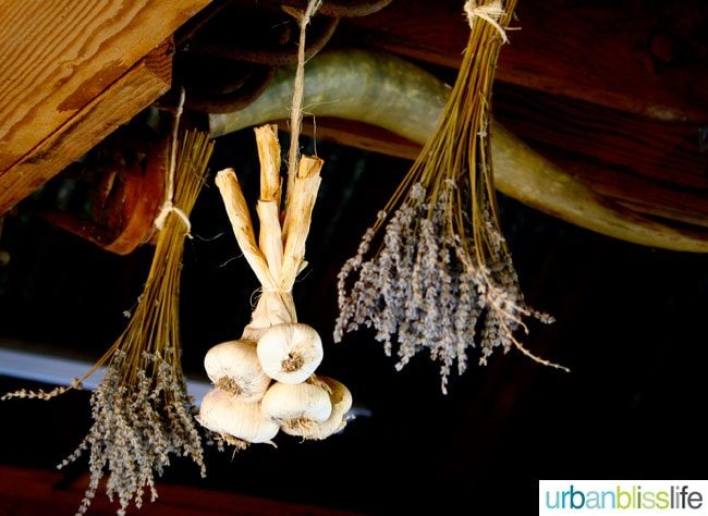 dried garlic and herbs