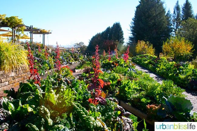 LynMar Estate gardens